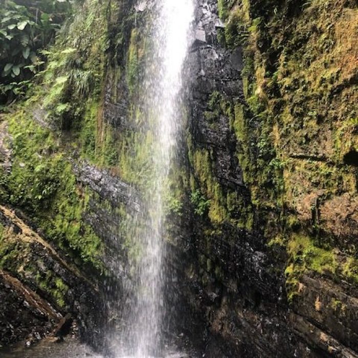 Waterfall in El Yunque